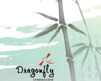 11.21_DragonflyDim